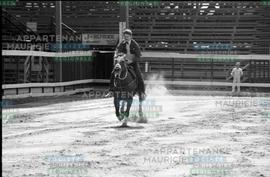 Cavalier sur un cheval