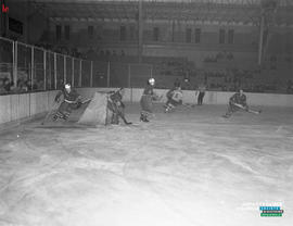 003 - Hockey