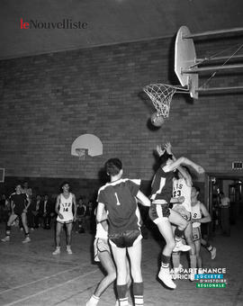 004 - Basket