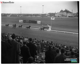 001 - Course de chevaux