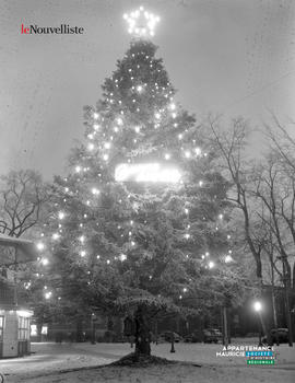002 - Sapin de Noël
