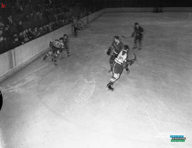 001 - Hockey