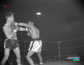 004 - Boxe