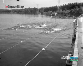 002 - Natation