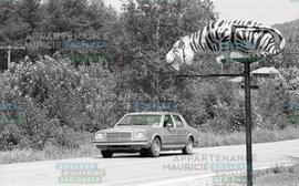 Enseigne en forme de tigre