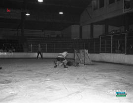 003 - Hockey