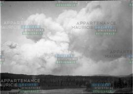 Nuage de fumée au-dessus de la forêt