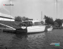 001 - Martalica