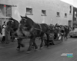 004 - Chevaux