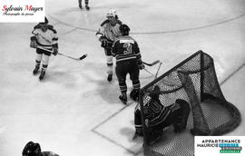 Joueurs de hockey