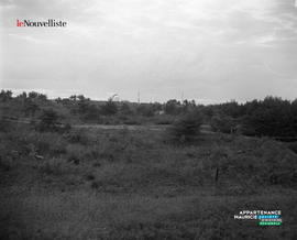 008 - Terrain