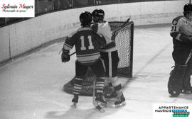 Joueurs de hockey