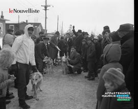001 - Course de chiens