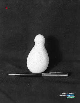 001 - Œuf en forme de poire