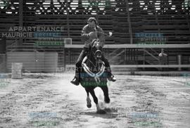 Cavalier sur un cheval