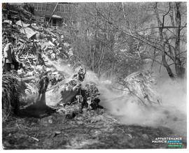 005 - Feu de broussailles