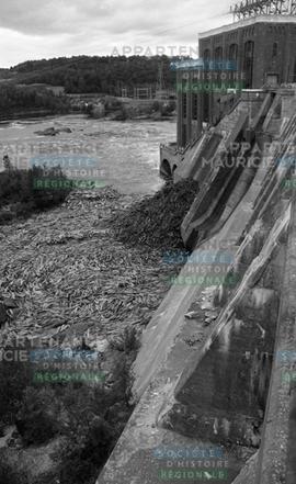 Barrage et billots de bois