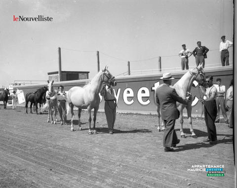 Original Document numérisé not accessible