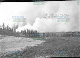Étendue vide avec une forêt plus loin