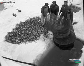 001 - Filet de pêche