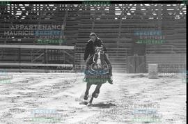 Cavalier sur un cheval