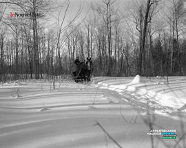 001 - Cheval hiver
