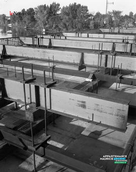 009 - Travaux pont Duplessis