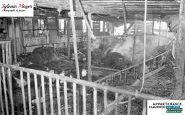 Grange incendiée