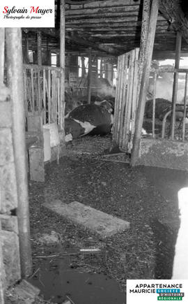 Grange incendiée