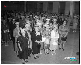 002 - Groupe de femmes