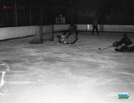 011 - Hockey