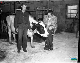 003 - Famille avec vache