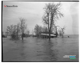 019 - Inondation