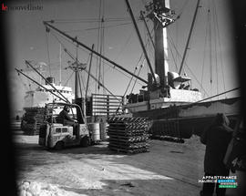 005 - Bateau