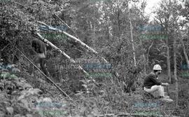 Personnes dans les bois