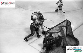 Joueurs de hockey