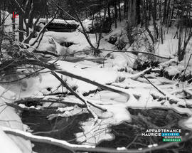 004 - Ruisseau neige