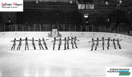 Patineuses artistiques