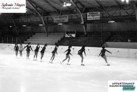 Patineuses artistiques