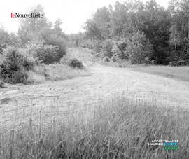 006 - Chemin