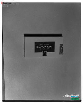 008 - Black Cat