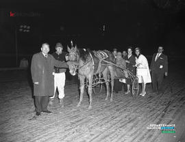 001 - Cheval de course