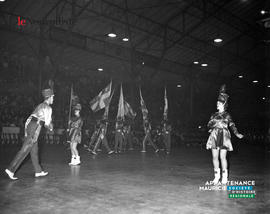 004 - Drapeaux