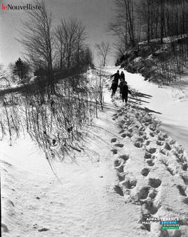 004 - Hiver
