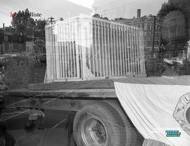 004 - Lion dans une cage
