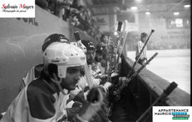 Joueurs de hockey