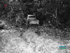 005 - Camion dans le bois