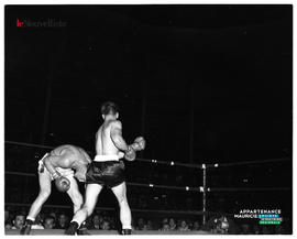 002 - Boxe