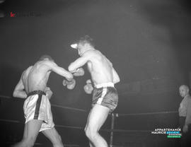 007 - Boxe