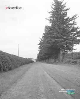 005 - Pépinière provinciale